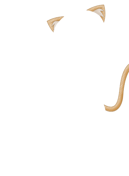 ねこみみきせかえ